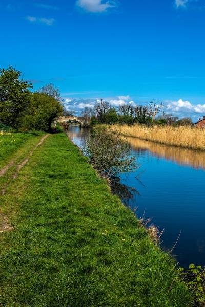 riverside view of halsall